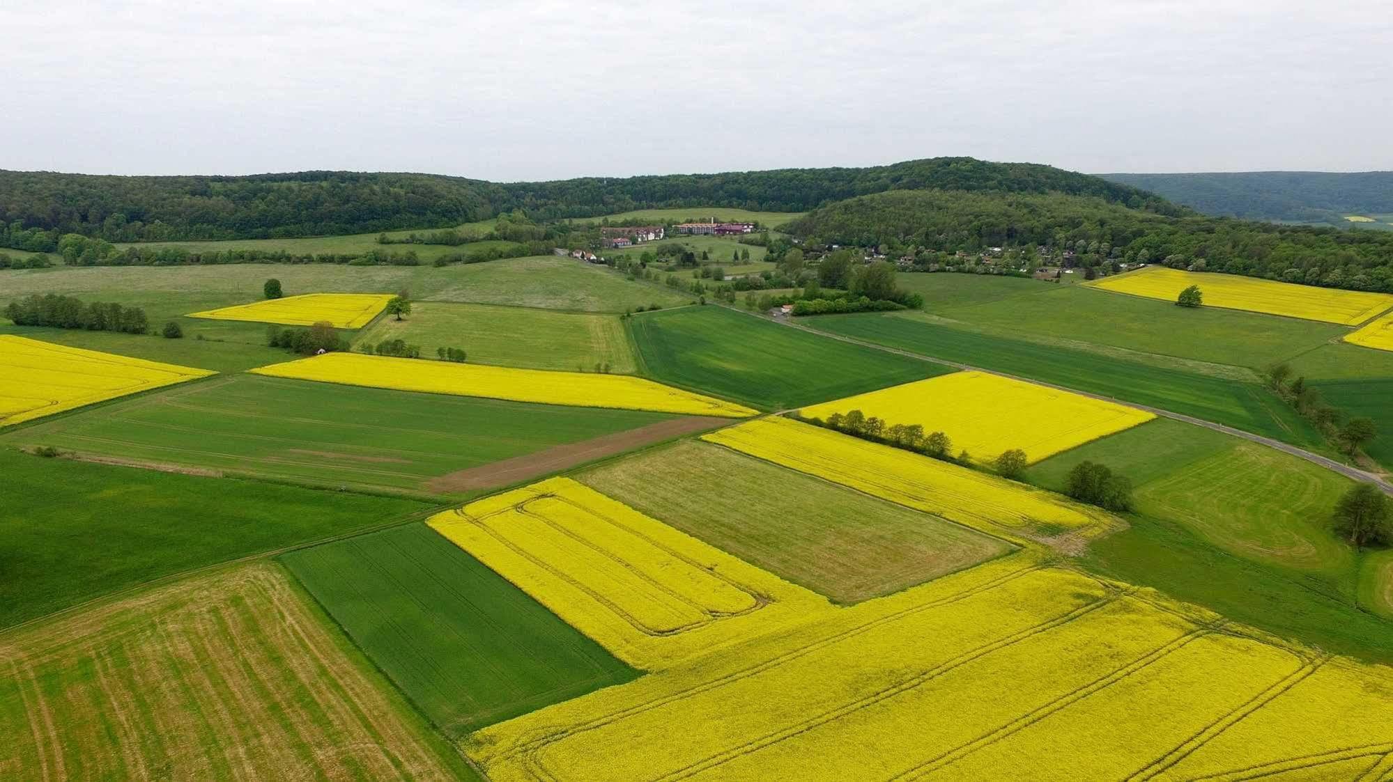 Hessen Hotelpark Hohenroda Hohenroda  エクステリア 写真